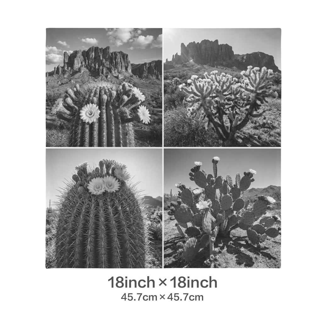 Baha Ranch Black White Cactus Velvety Soft Pillow Case Made in America