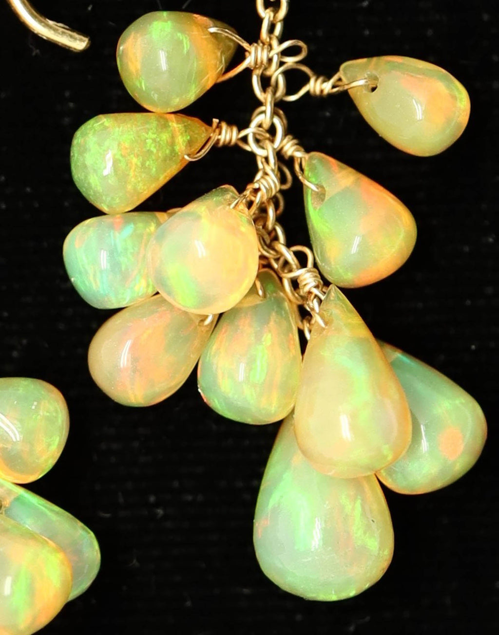 Earrings - Opal