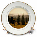 3dRose TDSwhite – Horse Equine Photos - Western Horse Under Saddle - Plates