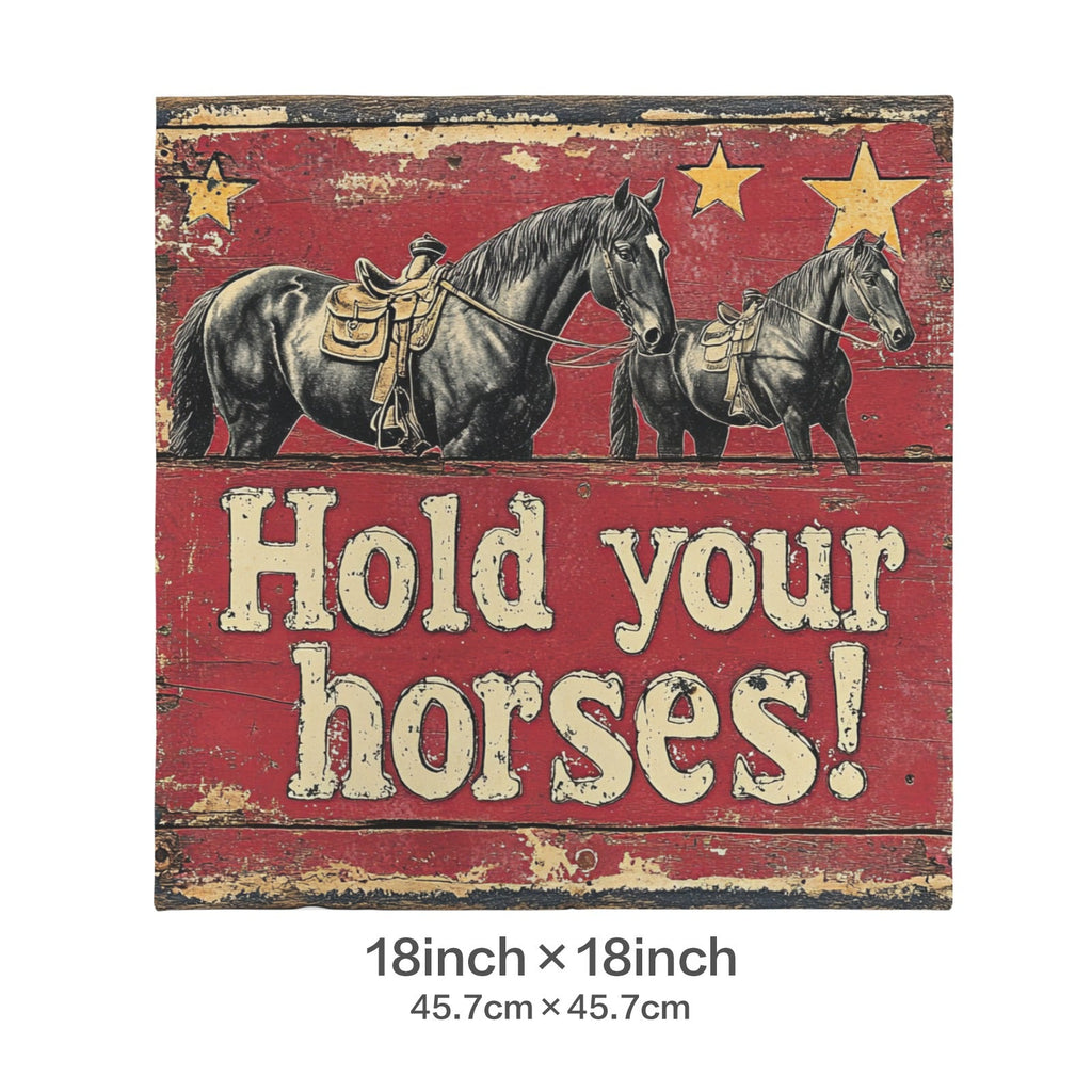 Baha Ranch Hold Your Horses Velvety Soft Pillow Case Made in America