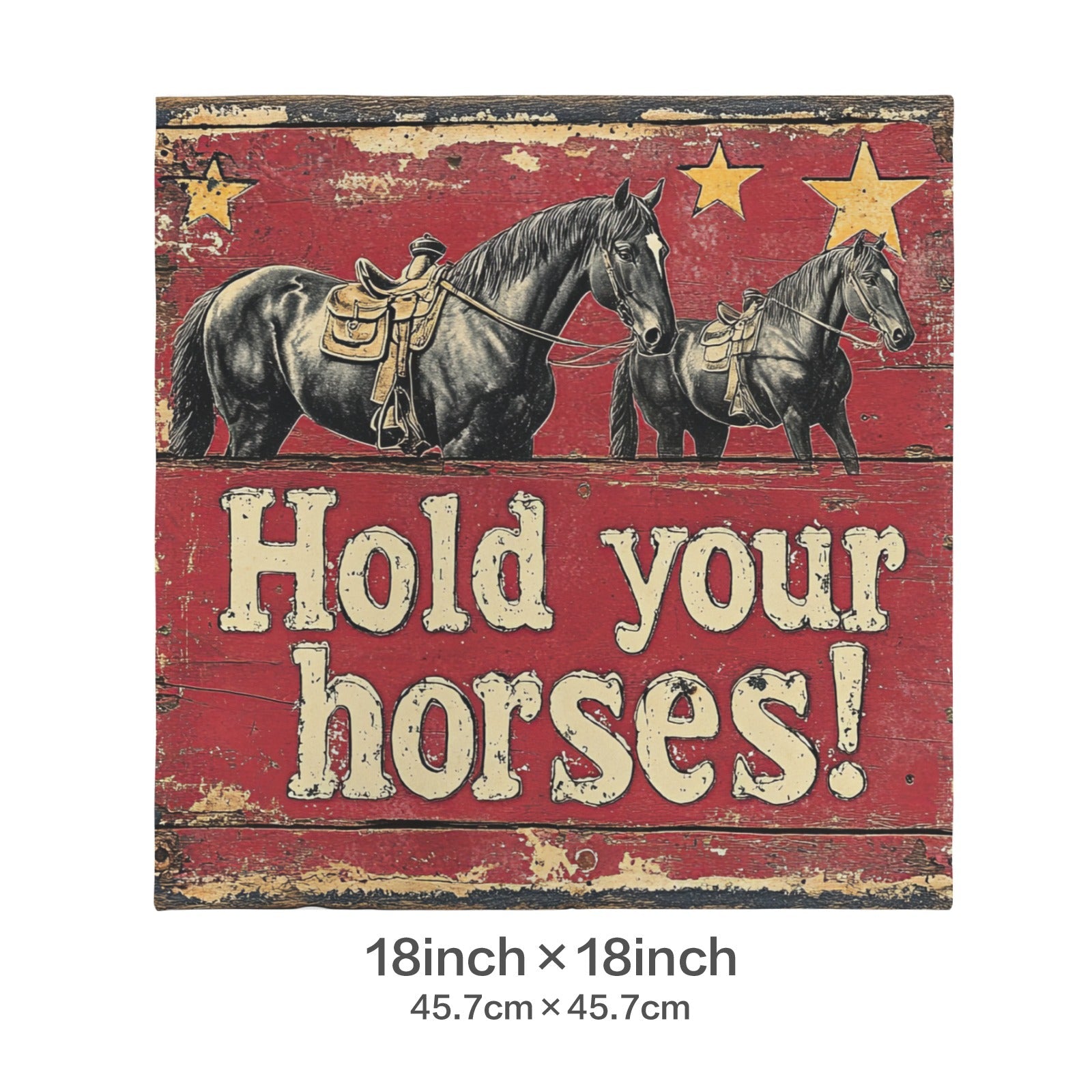 Baha Ranch Hold Your Horses Velvety Soft Pillow Case Made in America