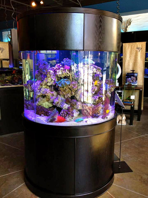 185g Glass Full Cylinder Aquarium Set in Unstained Wood Furniture