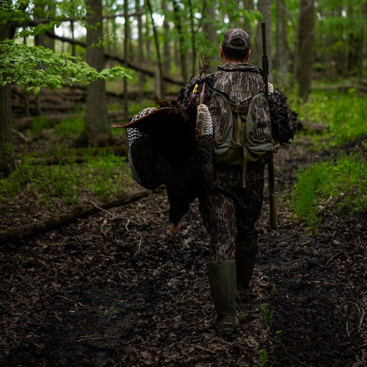 Ridge: Mossy Oak Original Bottomland